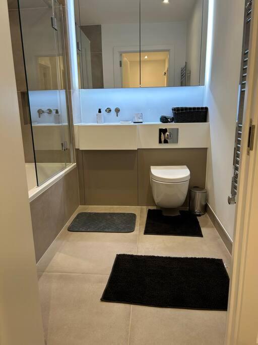 Modern 2 Bedroom Flat Near King'S Cross. ロンドン エクステリア 写真